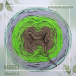 Preview: MERIT Modell A+B 4 Farben